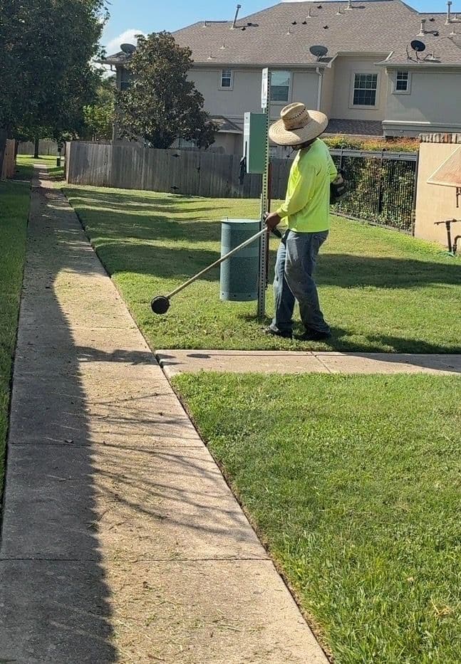 Clean Lines Every Time with Austin's Recurring Landscape Maintenance